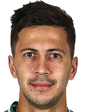 https://img.zhongziw2.com/img/football/player/a7521cae3d55835286cc258209d1ffee.png