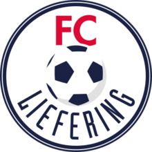 https://img.zhongziw2.com/img/football/team/bfeb14c5a9727a76294491a2702f01a7.png